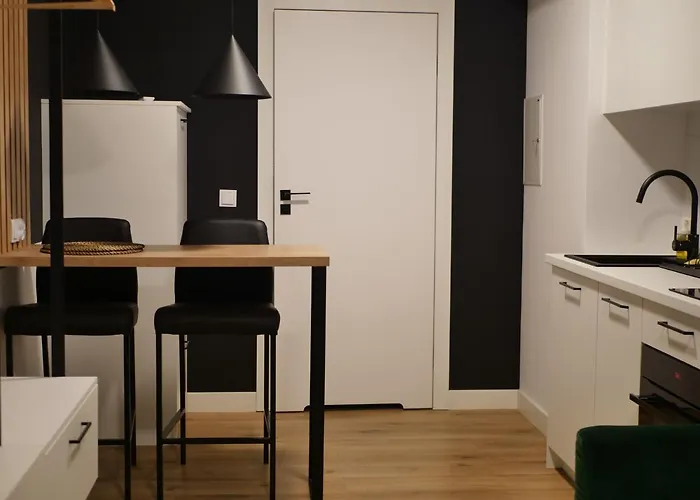 Przytulna Kawalerka 77 Апартаменты *