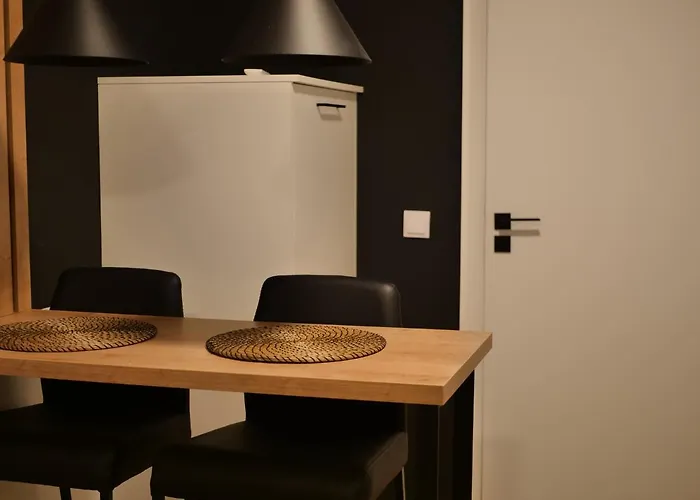 Przytulna Kawalerka 77 Daire